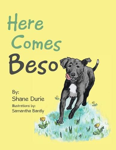 Cover image for Here Comes Beso