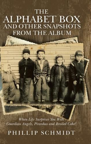 Cover image for The Alphabet Box and Other Snapshots From the Album