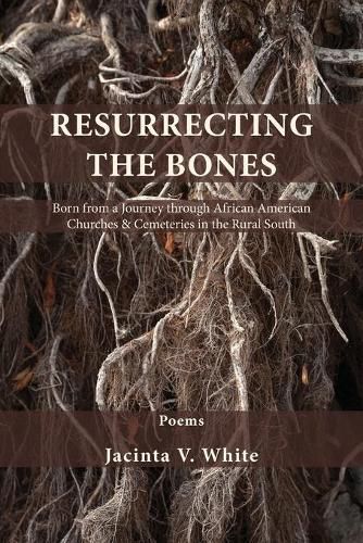 Cover image for Resurrecting the Bones: Born from a Journey through African American Churches & Cemeteries in the Rural South