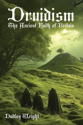 Cover image for Druidism