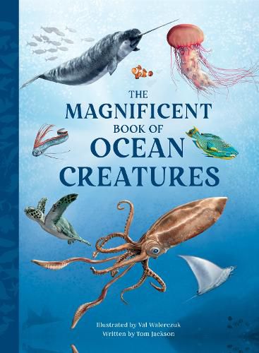 Cover image for The Magnificent Book of Ocean Creatures