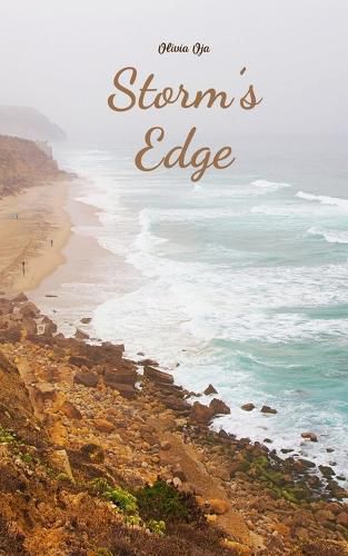 Cover image for Storm's Edge