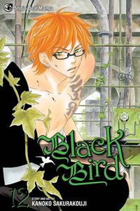Cover image for Black Bird, Vol. 12