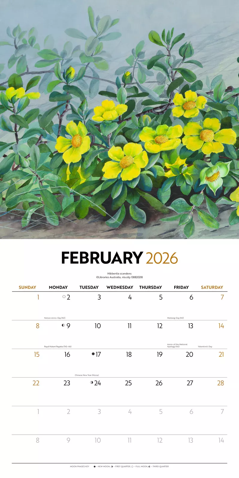 Illustrated Wildflowers of Australia 2026 Wall Calendar