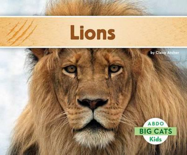 Cover image for Lions
