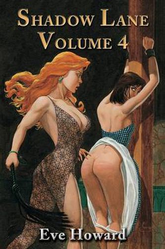 Cover image for Shadow Lane Volume 4: The Chronicles of Random Point, Spanking, Sex, B&D and Anal Eroticism in a Small New England Village