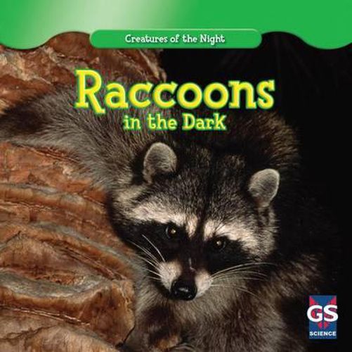 Cover image for Raccoons in the Dark