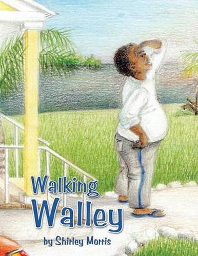 Cover image for Walking Walley