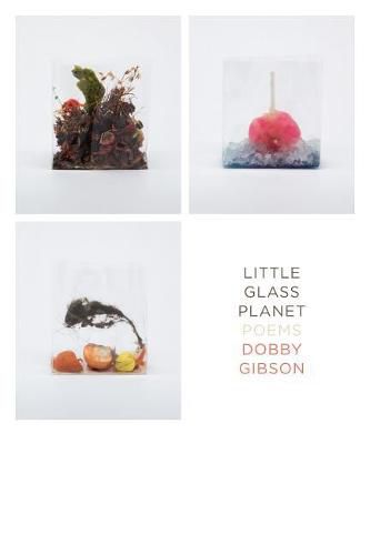 Cover image for Little Glass Planet: Poems