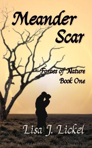 Cover image for Meander Scar
