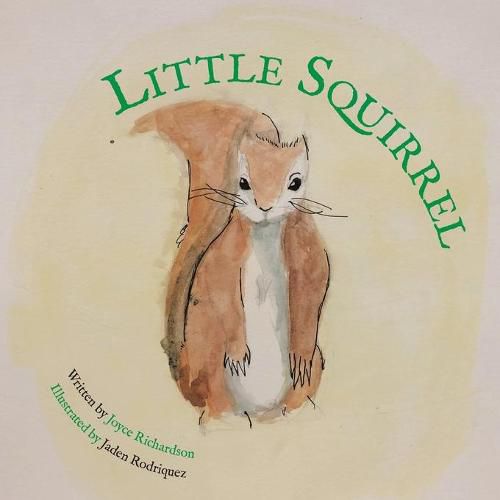 Cover image for Little Squirrel