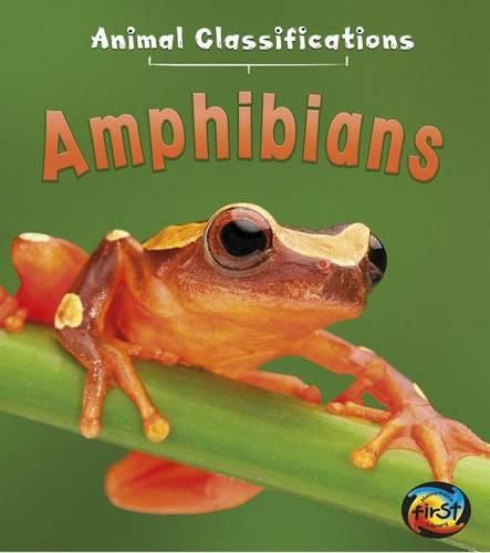 Cover image for Amphibians (Animal Classifications)