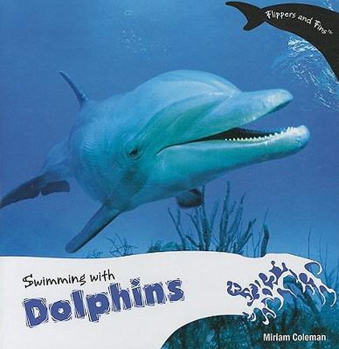 Swimming with Dolphins