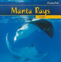 Cover image for Manta Rays