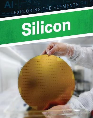 Cover image for Silicon