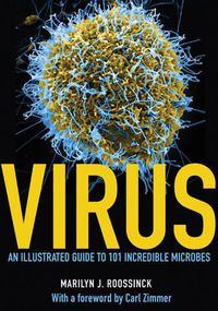 Cover image for Virus: An Illustrated Guide to 101 Incredible Microbes