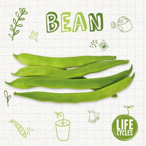 Cover image for Bean