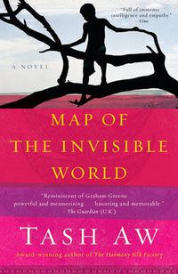 Cover image for Map of the Invisible World: A Novel