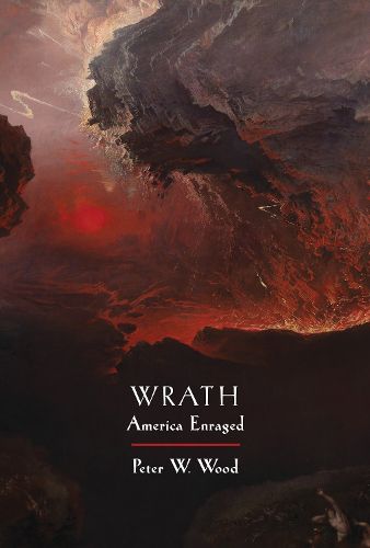 Cover image for Wrath: America Enraged