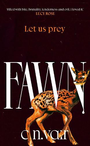 Cover image for Fawn