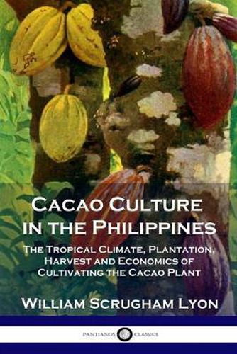 Cover image for Cacao Culture in the Philippines: The Tropical Climate, Plantation, Harvest and Economics of Cultivating the Cacao Plant