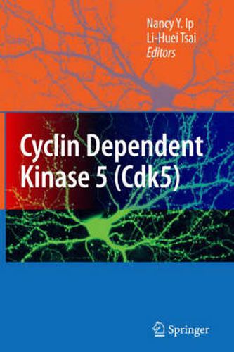 Cover image for Cyclin Dependent Kinase 5 (Cdk5)