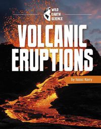 Cover image for Volcanic Eruptions