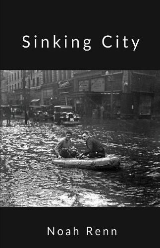 Cover image for Sinking City