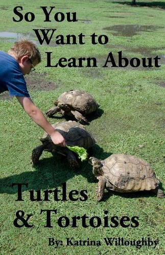 Cover image for So You Want to Learn About Turtles & Tortoises