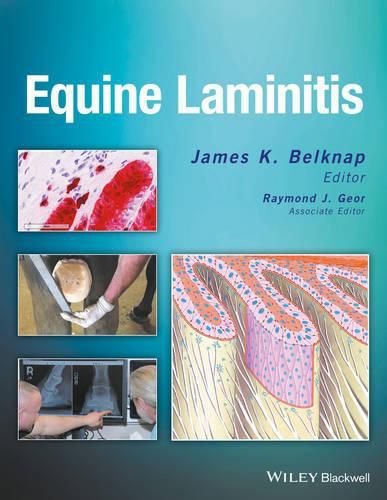 Cover image for Equine Laminitis