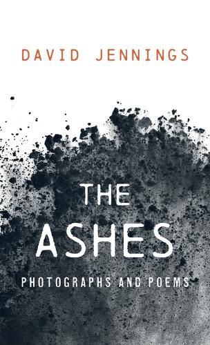 Cover image for The Ashes