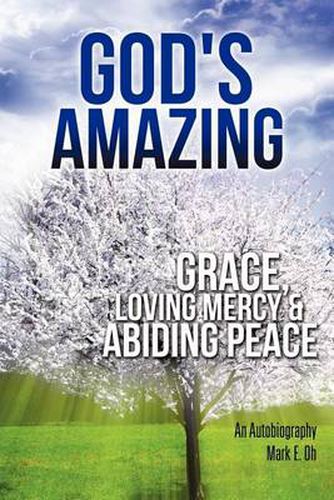 Cover image for God's Amazing Grace, Loving Mercy & Abiding Peace