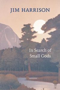 Cover image for In Search of Small Gods