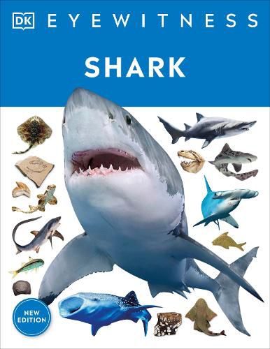 Cover image for Shark: Dive into the fascinating world of sharks  - from the tiny dwarf dogfish to the ferocious great white