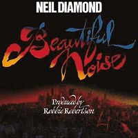 Cover image for Beautiful Noise
