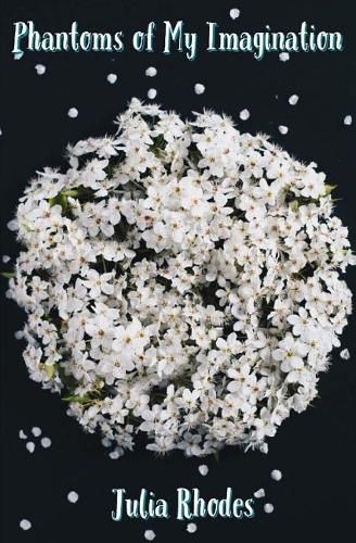 Cover image for Phantoms of My Imagination