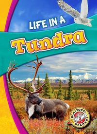 Cover image for Life In A Tundra