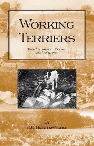Cover image for Working Terriers - Their Management, Training and Work, Etc. (History of Hunting Series -Terrier Dogs)