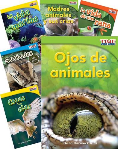 Cover image for Animals and Insects Set Spanish