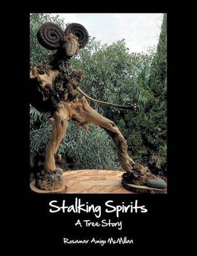 Cover image for Stalking Spirits