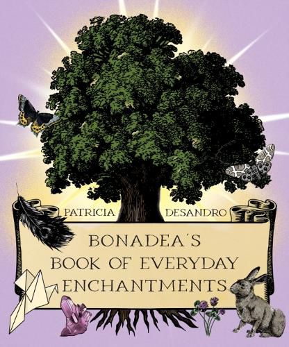 Cover image for BonaDea's Book of Everyday Enchantments