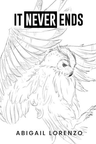 Cover image for It Never Ends