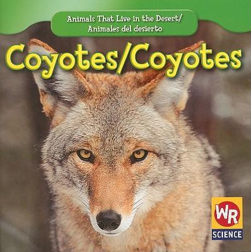 Coyotes / Coyotes