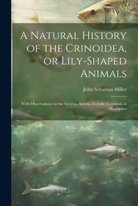 Cover image for A Natural History of the Crinoidea, or Lily-shaped Animals