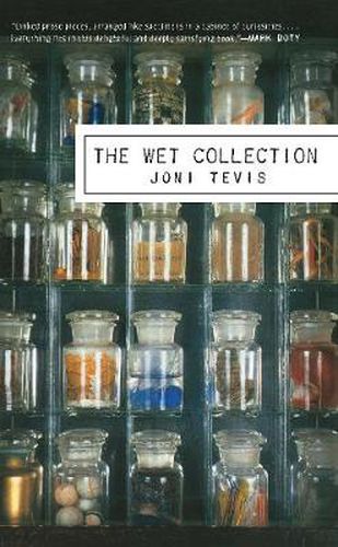 Cover image for The Wet Collection: A Field Guide to Iridescence and Memory