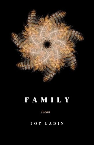 Cover image for Family