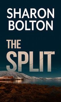 Cover image for The Split