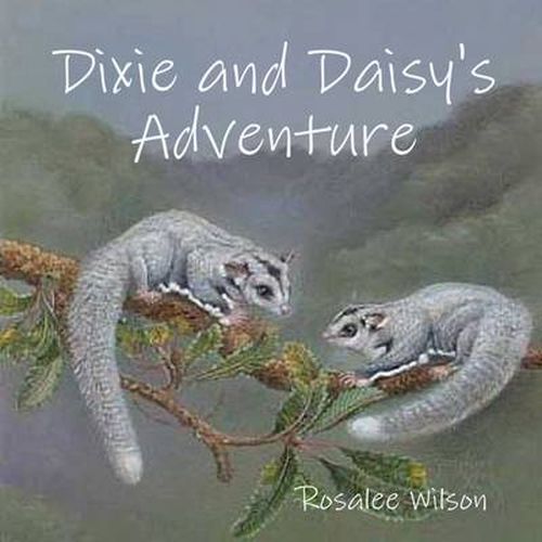 Cover image for Dixie and Daisy's Adventure