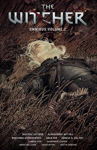Cover image for The Witcher Omnibus Volume 2