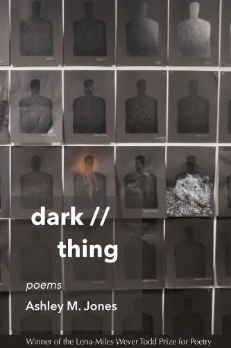 Cover image for dark // thing: poems